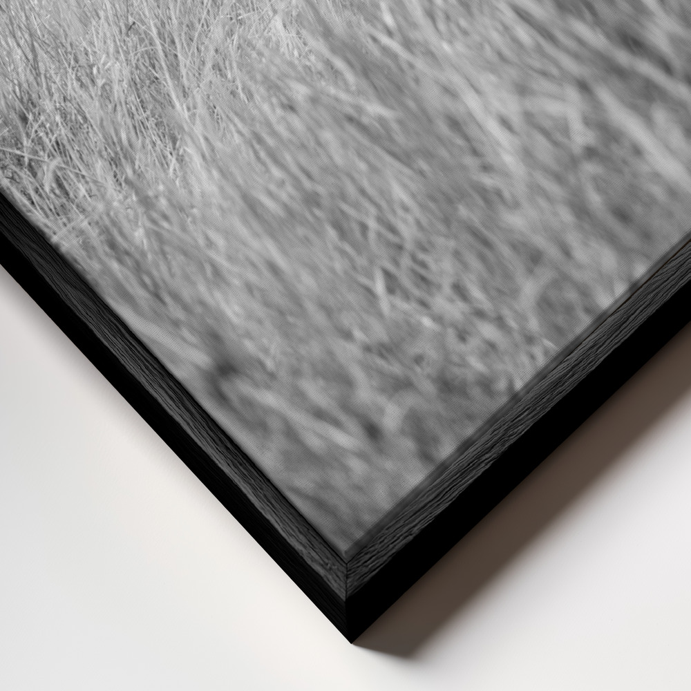 Canvas print - Kudu frame close up - black frame