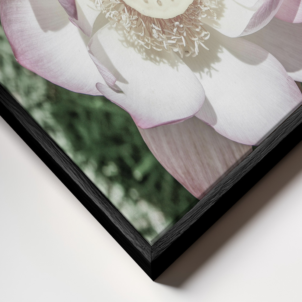 Lærred - Lotus ramme nærbillede - sort ramme