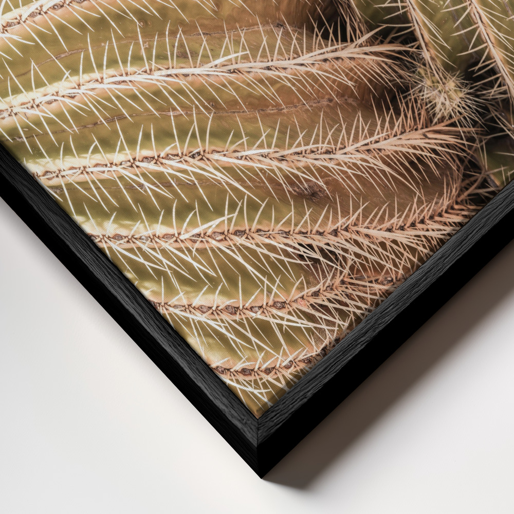 Leinwandbild - Mother In Laws Seat rahmen Nahaufnahme - schwarzer Rahmen