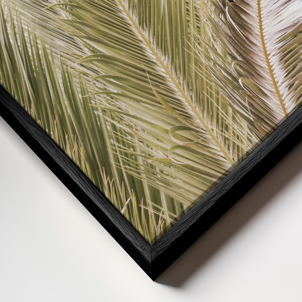 Toile - Oasis Palm 01 Oa 01 cadre en gros plan - cadre noir