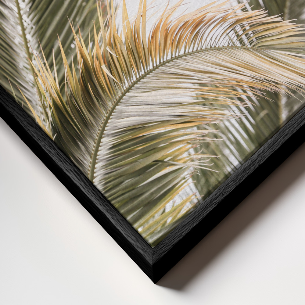 Canvas print - Oasis Palm 03 frame close up - black frame