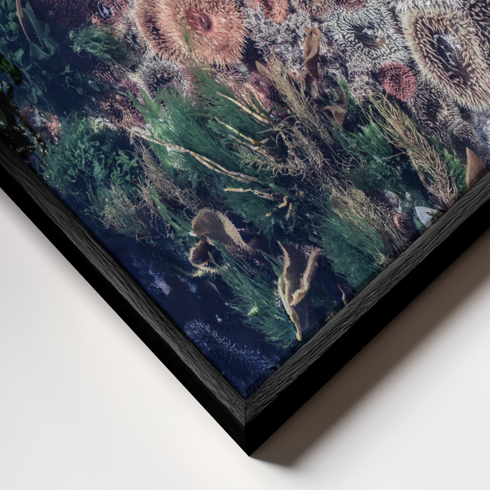 Canvas print - Ocean Curiosities frame close up - black frame