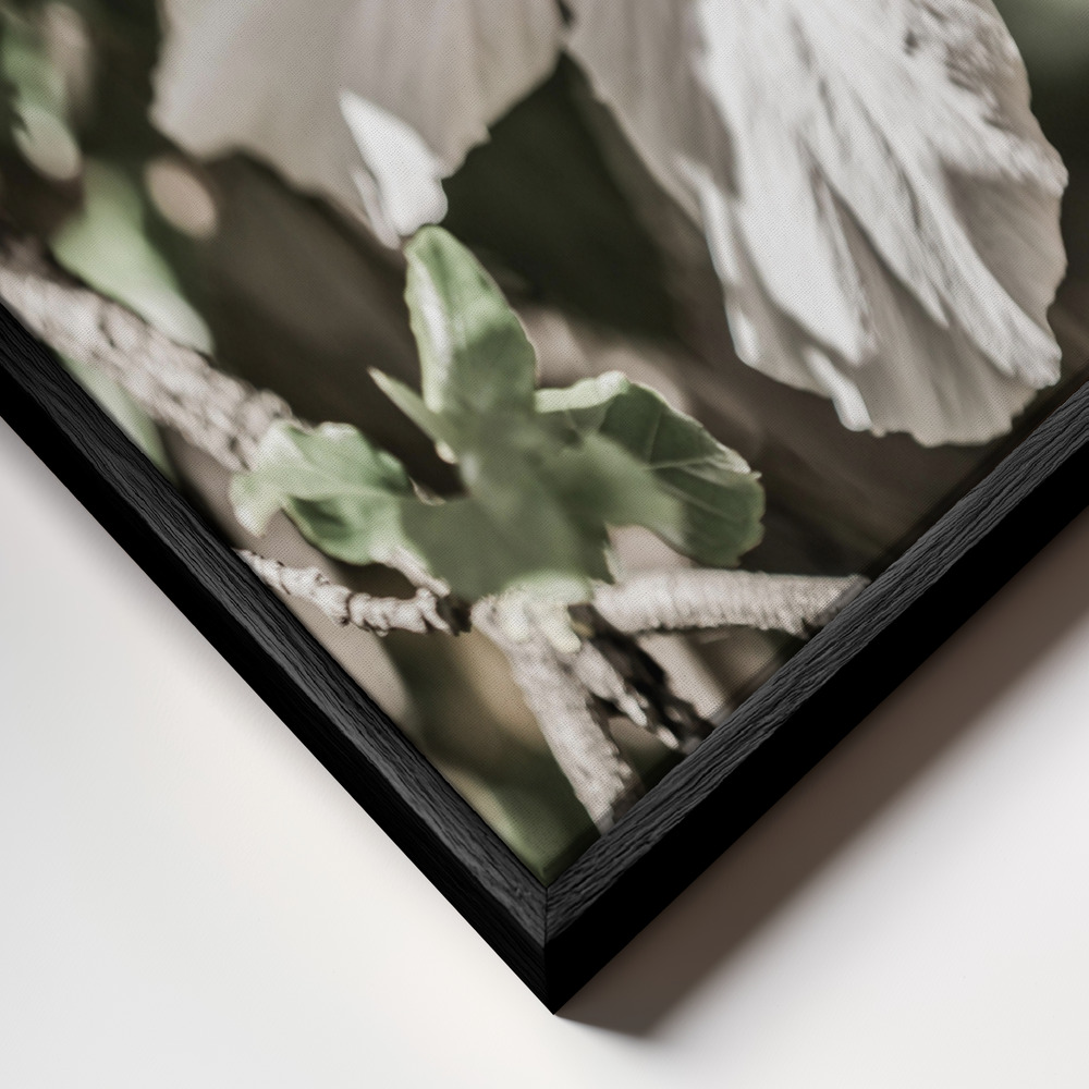 Canvas print - Pale Pink Hibiscus frame close up - black frame