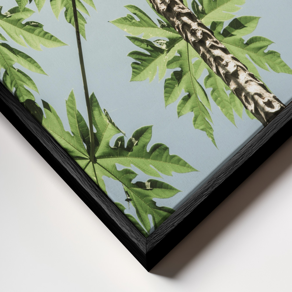 Toile - Paw Paw cadre en gros plan - cadre noir