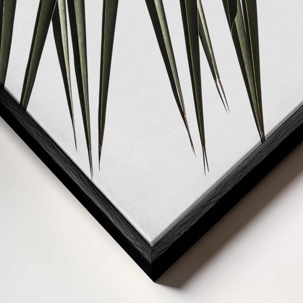 Canvas print - Phoenix Frond frame close up - black frame