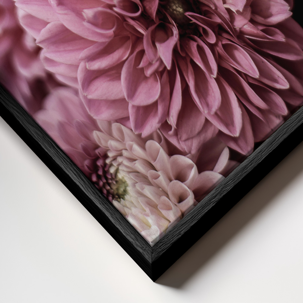 Canvas print - Pink Cushion frame close up - black frame