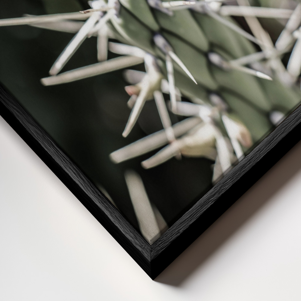 Leinwandbild - Pink Desert Bloom rahmen Nahaufnahme - schwarzer Rahmen