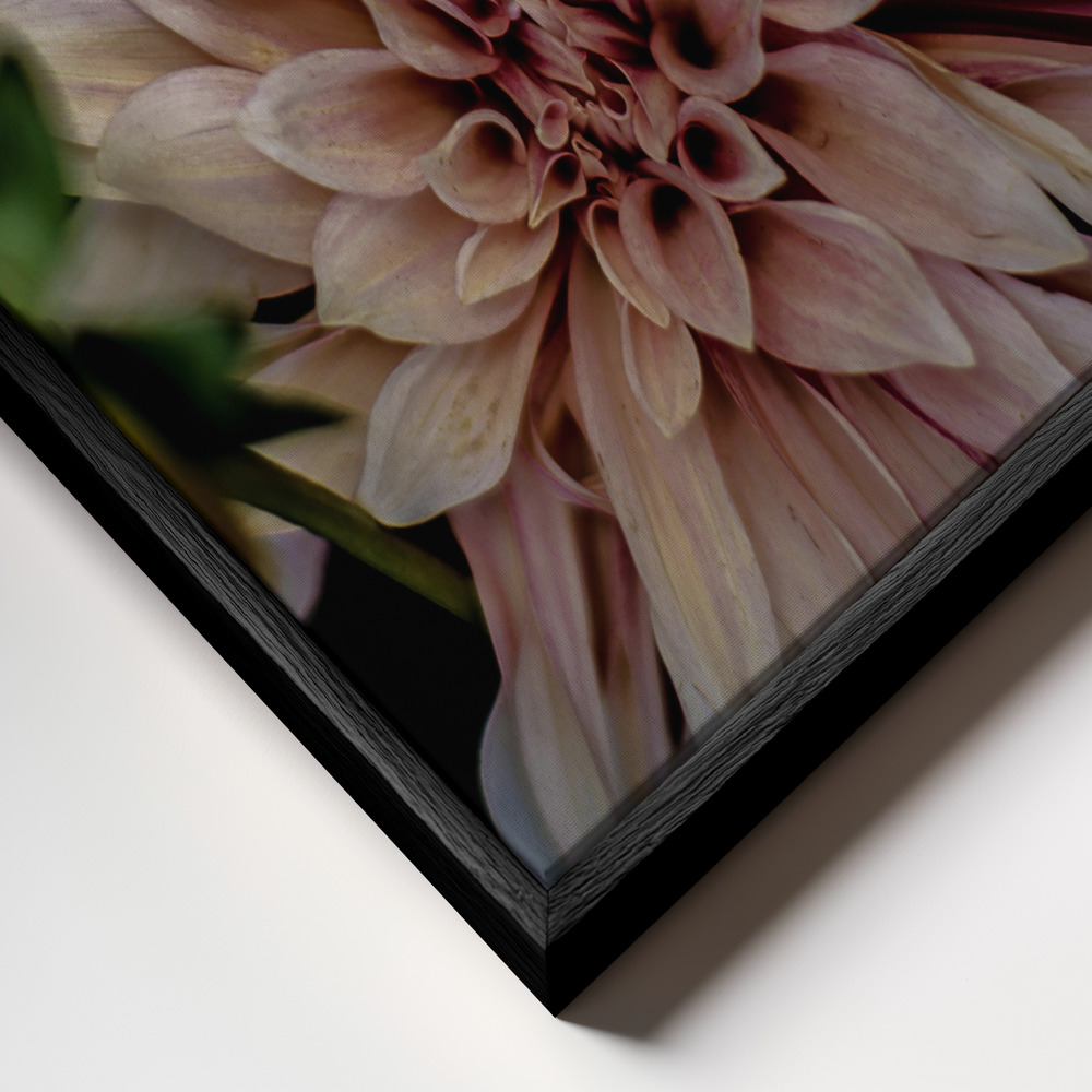 Canvas print - Queen of the Night frame close up - black frame