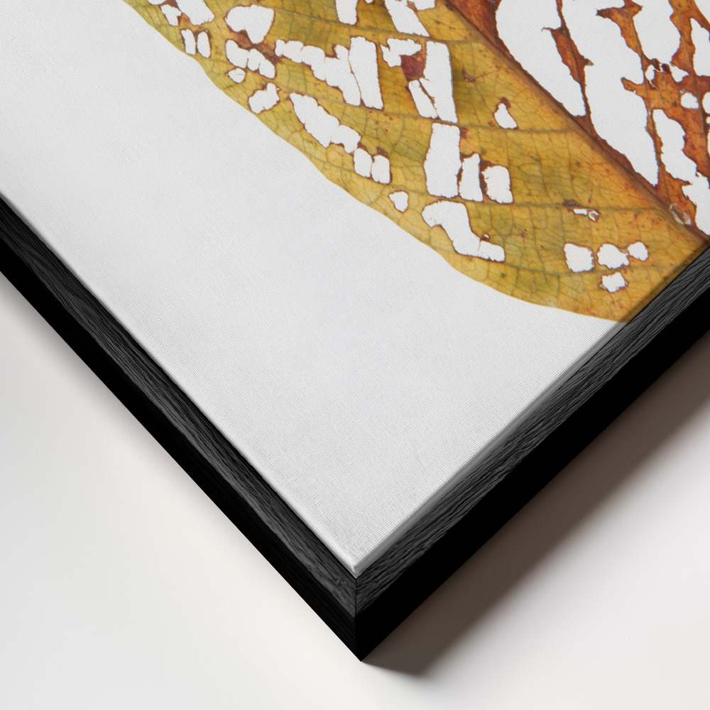 Canvas schilderi - Rainforst Leaf 02 frame close-up - zwart frame