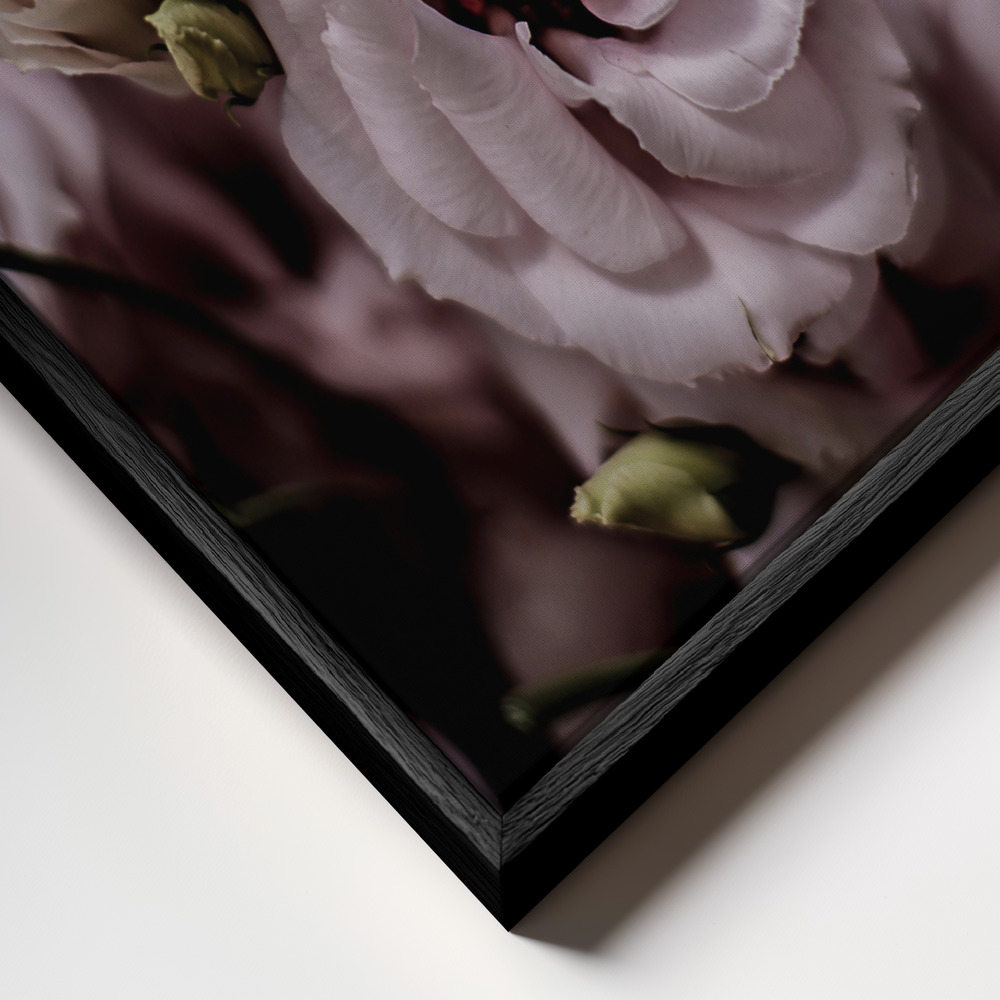 Toile - Rosa cadre en gros plan - cadre noir