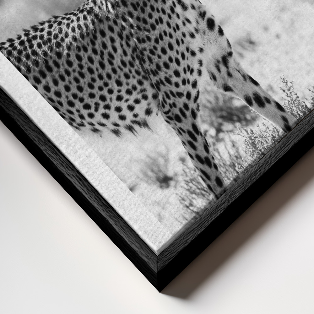 Canvas print - Safari Katjpg frame close up - black frame