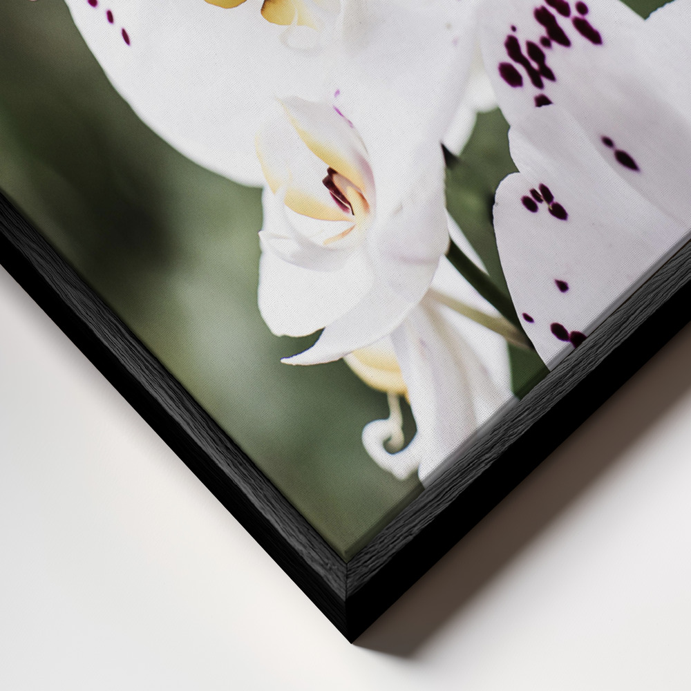 Canvas print - Spring Blooms frame close up - black frame