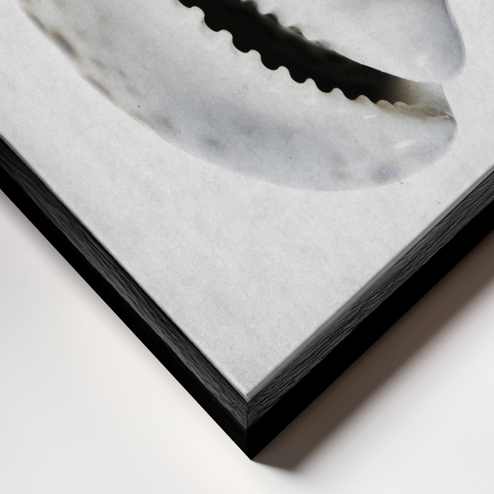 Canvas print - Spring Tide 01 frame close up - black frame