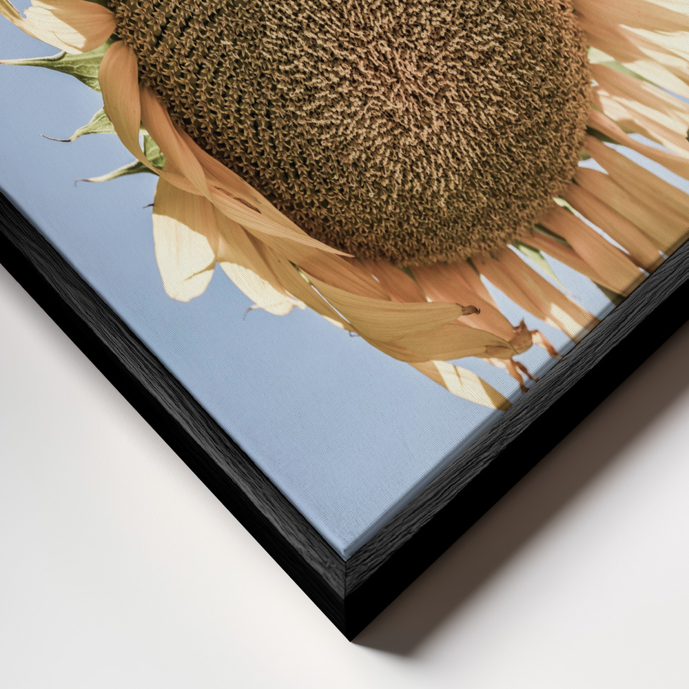 Toile - Sunny Bloom cadre en gros plan - cadre noir
