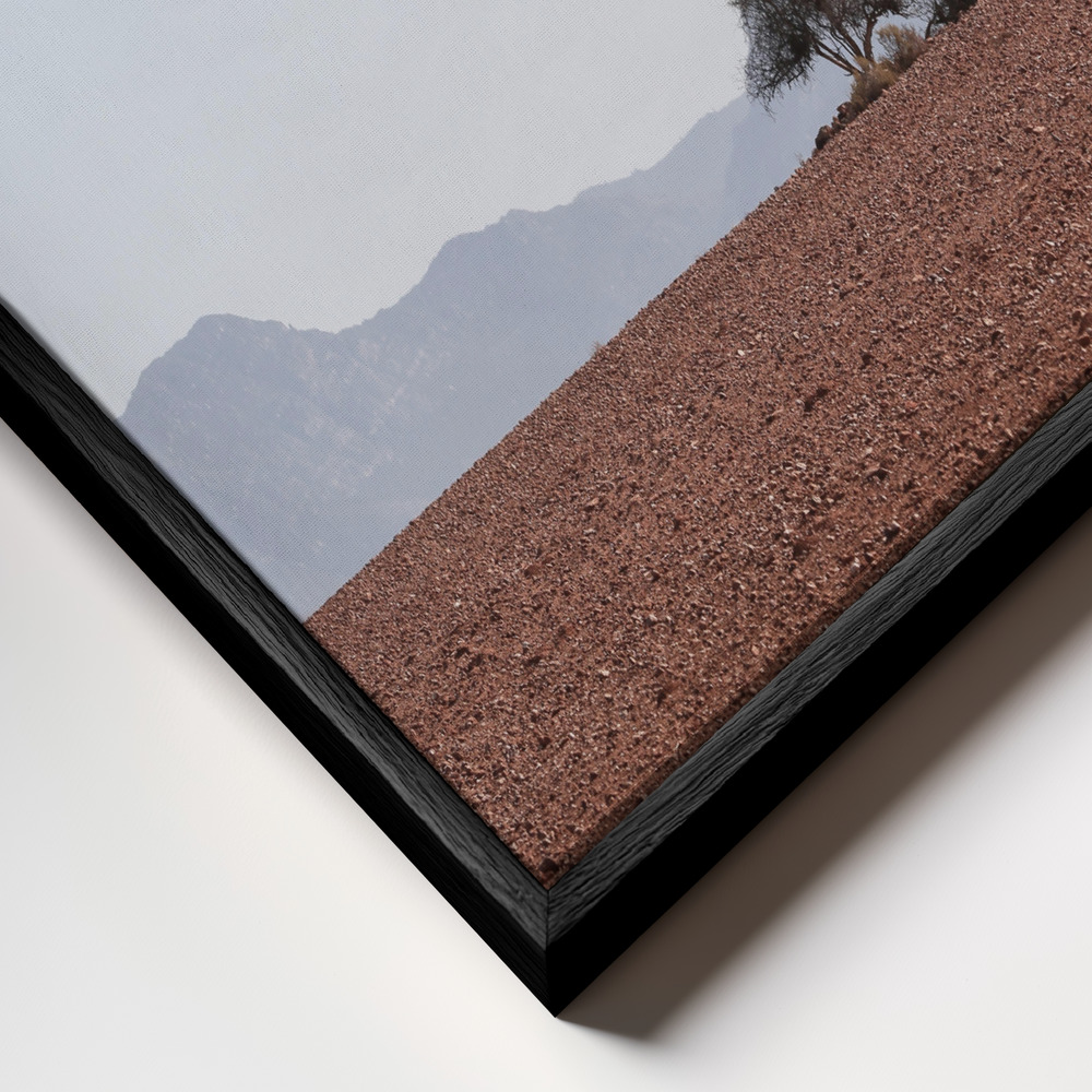 Canvas print - Swart Land No2 frame close up - black frame