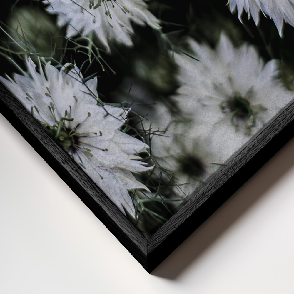 Toile - Wild Daisey cadre en gros plan - cadre noir