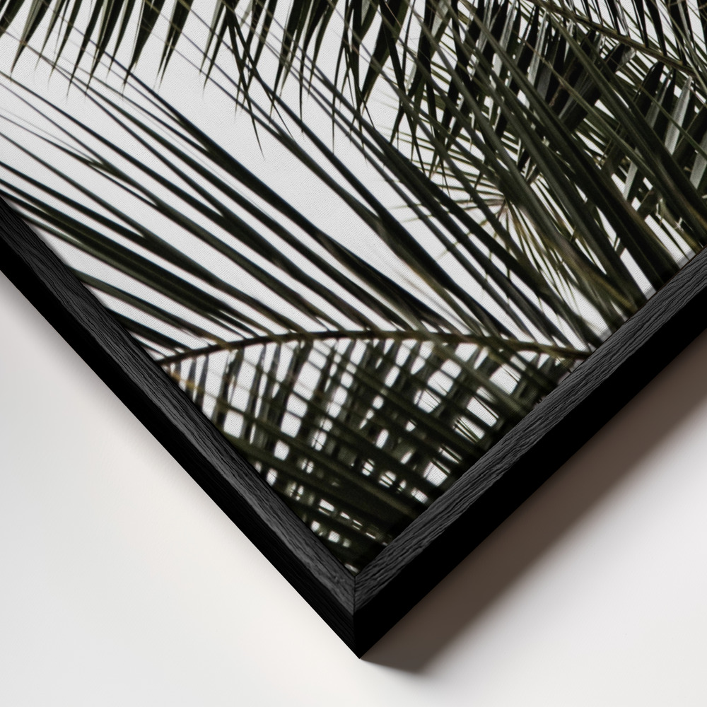 Canvas print - Palm Leaves 3 frame close up - black frame