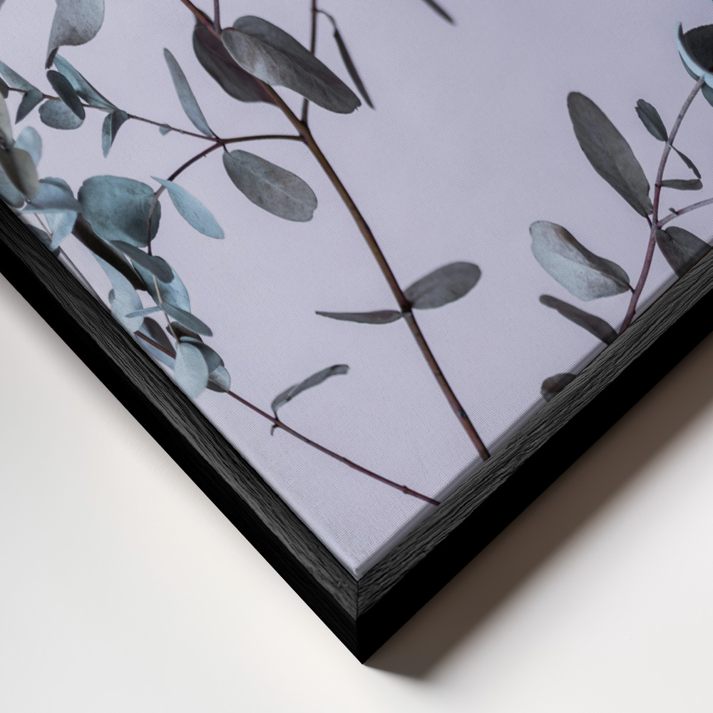 Toile - Eucalyptus 13 cadre en gros plan - cadre noir