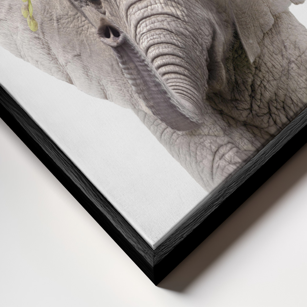 Canvas schilderi - Floral Baby Elephant frame close-up - zwart frame