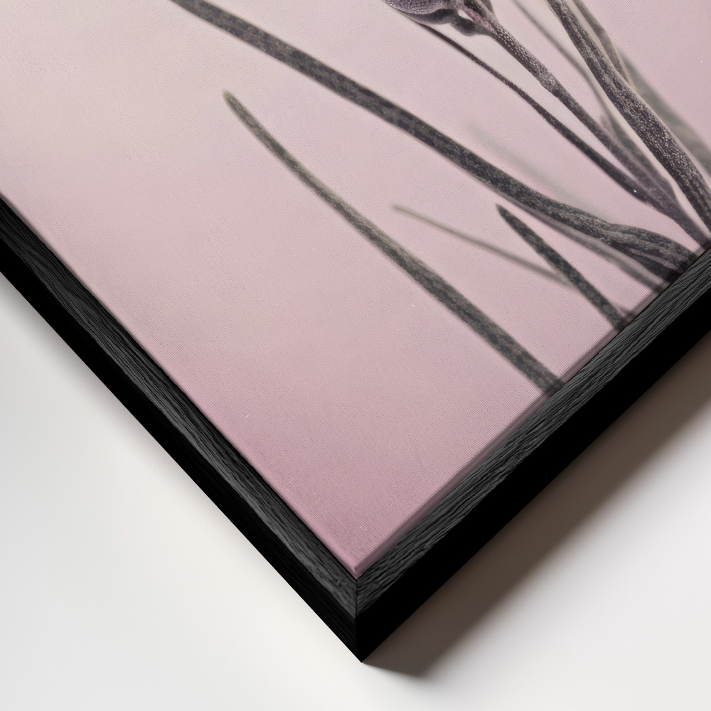 Canvas print - Pastel Lavender frame close up - black frame