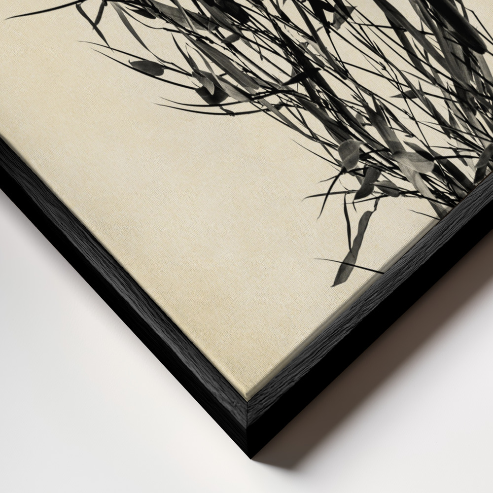 Toile - Japanese Birch cadre en gros plan - cadre noir