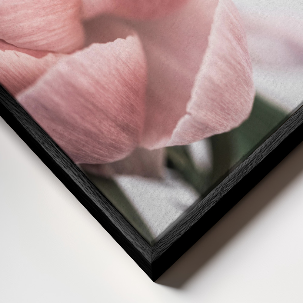 Canvas schilderi - Peony 3 frame close-up - zwart frame