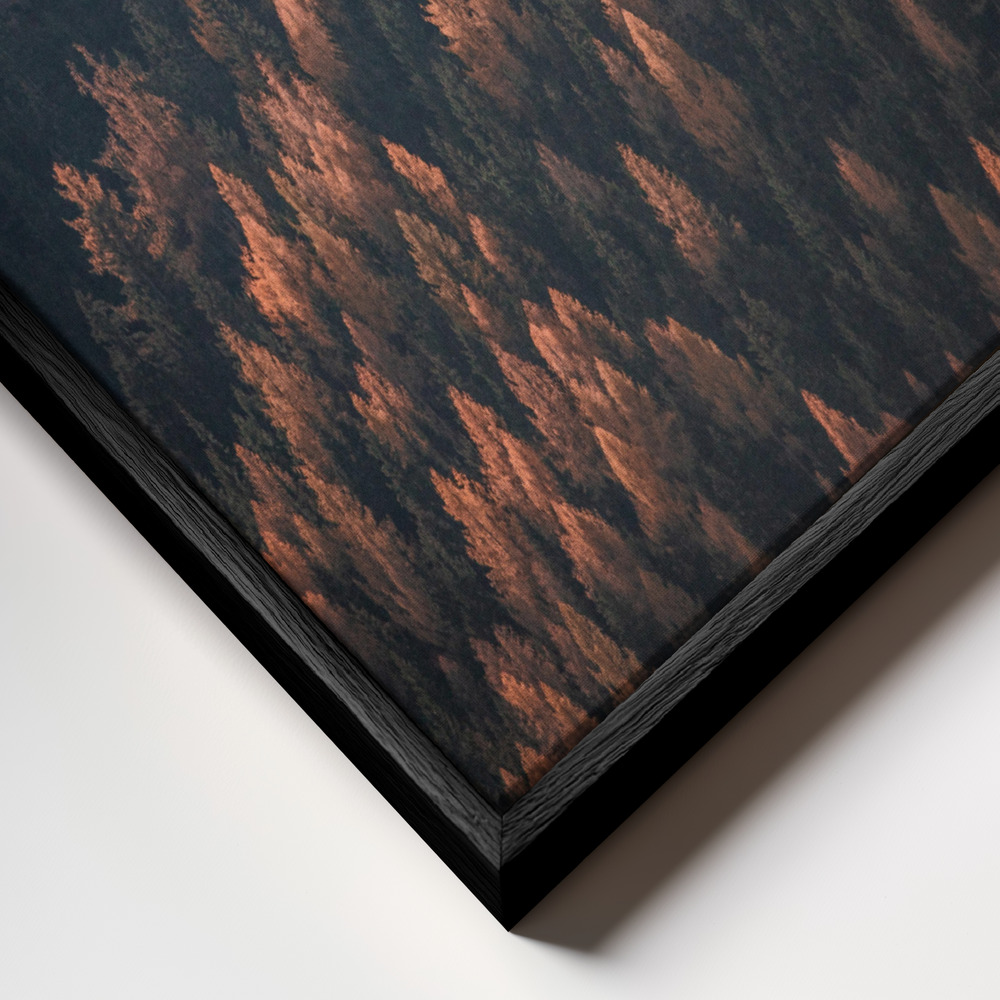 Toile - Autumn Woods 2 cadre en gros plan - cadre noir
