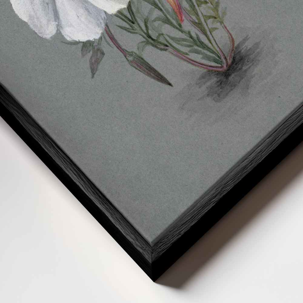 Canvas print - Giant Helleborine (1880) frame close up - black frame
