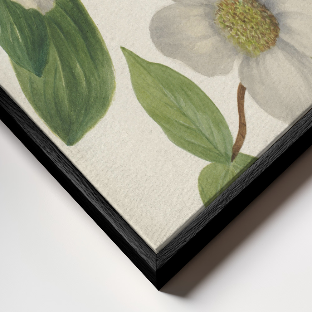 Canvas print - Pacific Dogwood frame close up - black frame