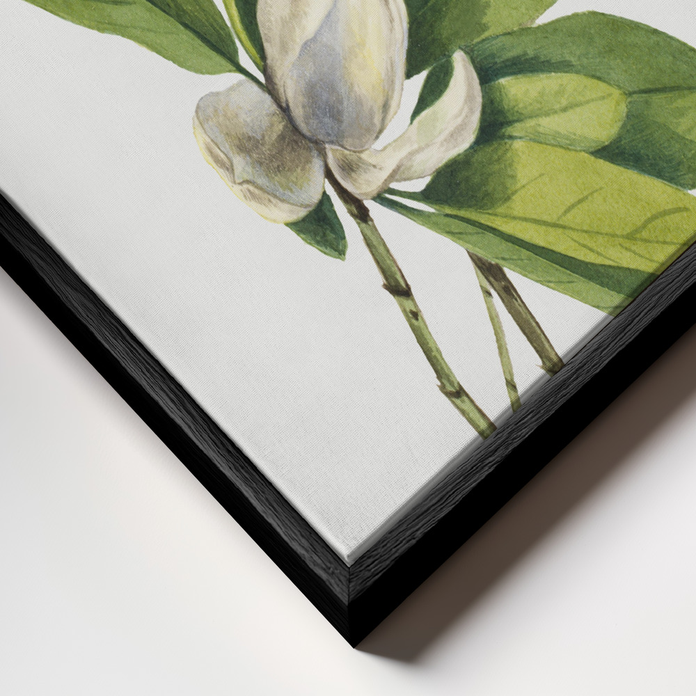 Lærred - Swamp Magnolia (1918) ramme nærbillede - sort ramme