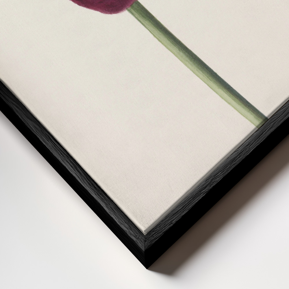 Canvas print - Sweet Trillium frame close up - black frame