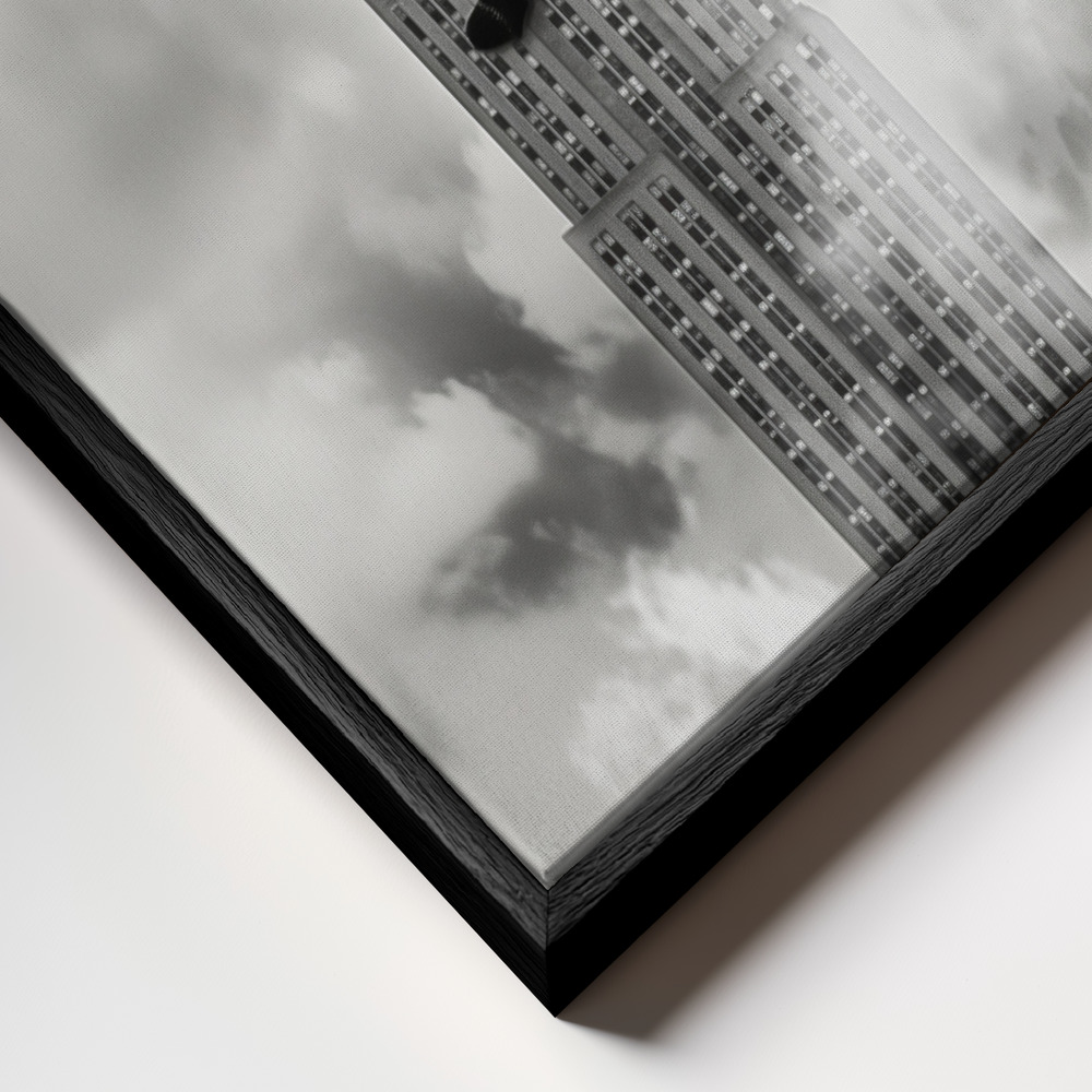 Canvas taulu - Cat on top kehys lähikuvassa - musta kehys