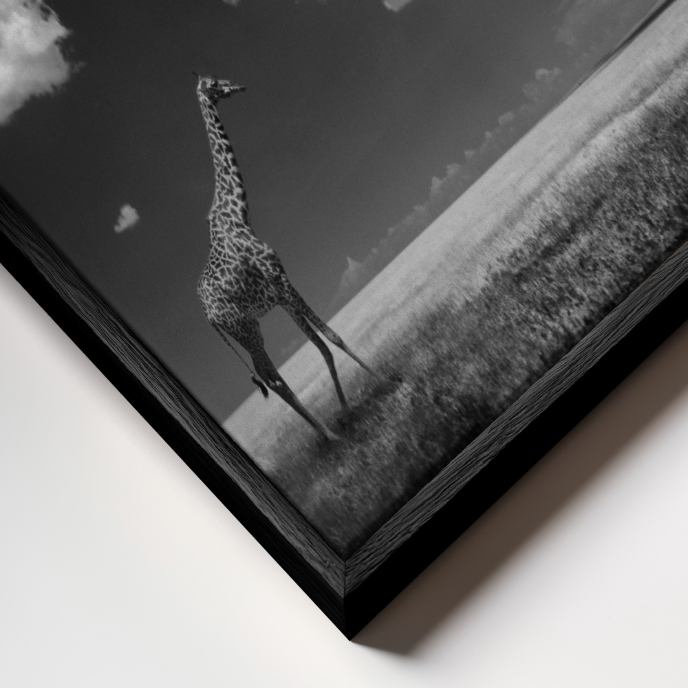 Canvas schilderi - Gone with the Clouds frame close-up - zwart frame