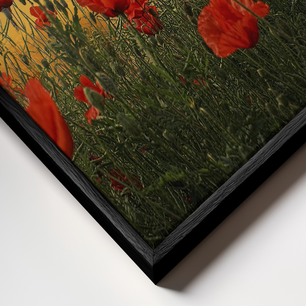 Canvas schilderi - Poppies frame close-up - zwart frame