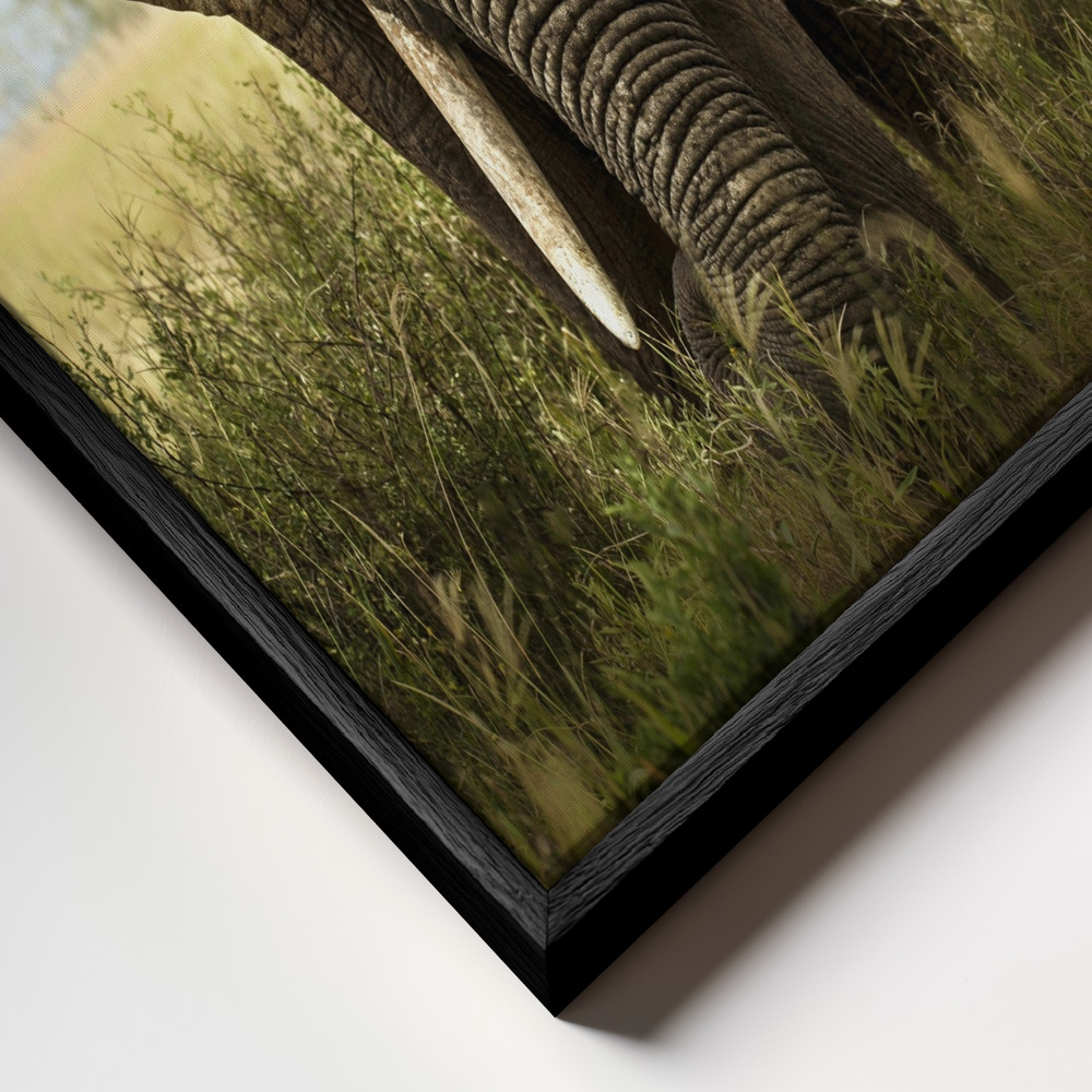 Leinwandbild - Encounters in Serengeti rahmen Nahaufnahme - schwarzer Rahmen