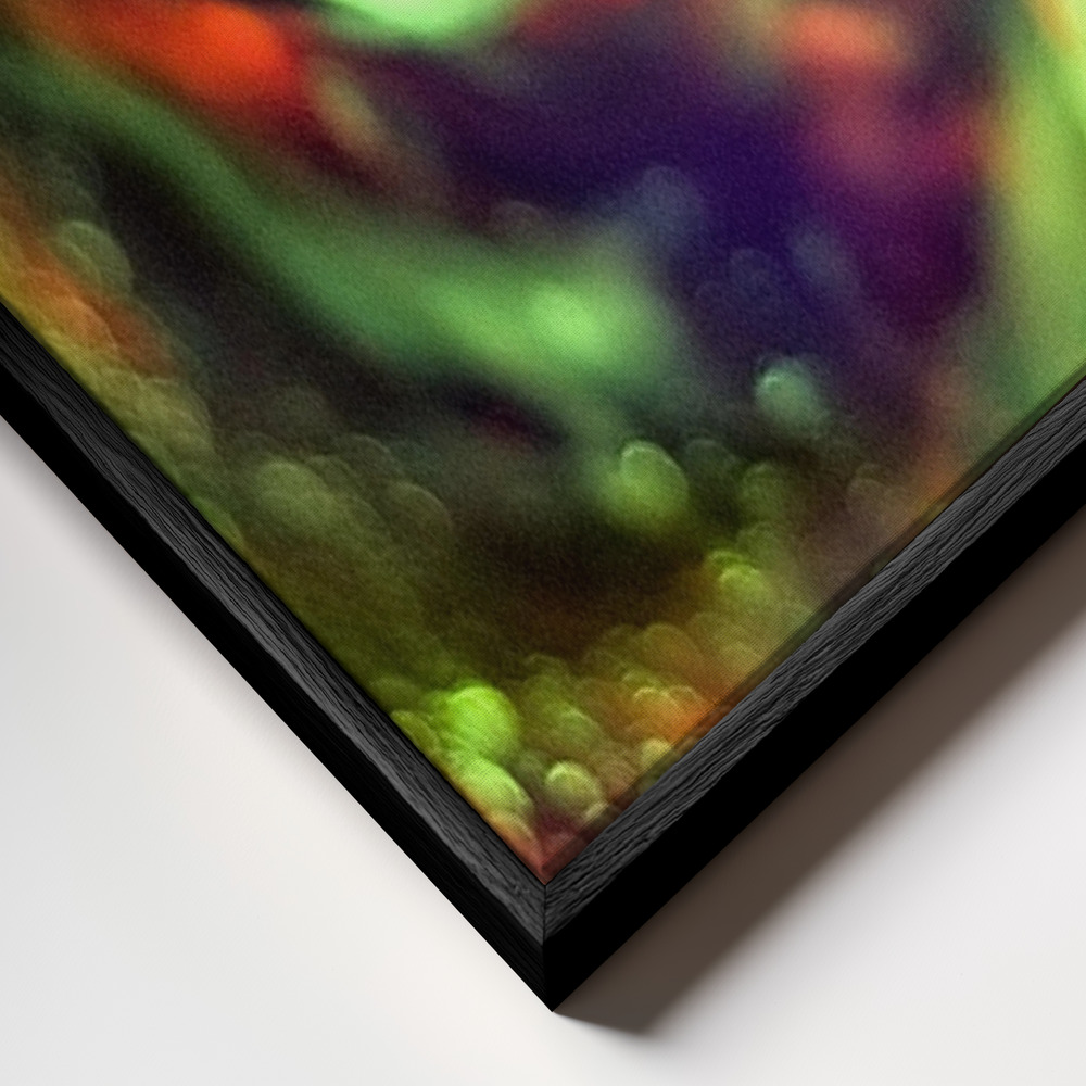 Canvas print - Alice's World frame close up - black frame