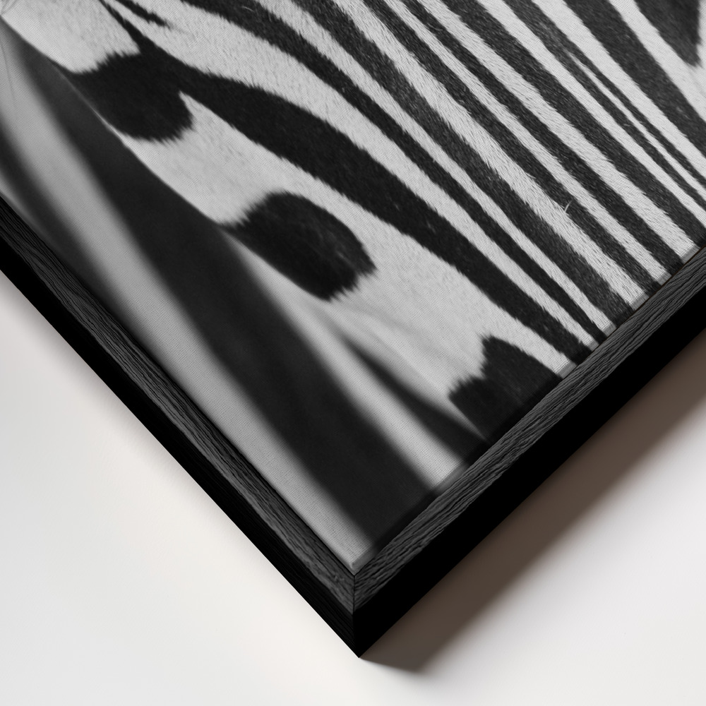 Toile - Zepra cadre en gros plan - cadre noir