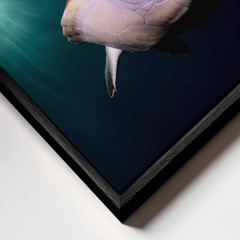 Canvas print - Afternoon frame close up - black frame