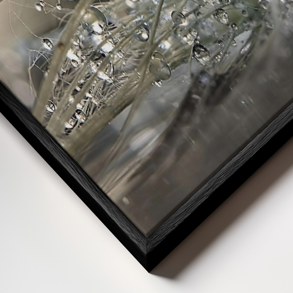 Canvas schilderi - Pearls frame close-up - zwart frame