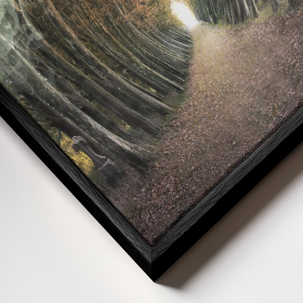 Canvas schilderi - Alone frame close-up - zwart frame