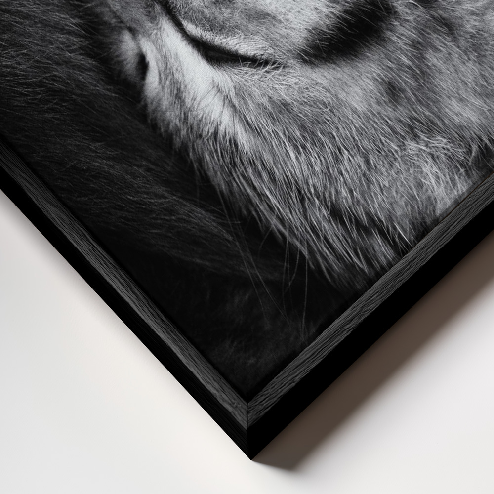 Canvas schilderi - Yin and Yang frame close-up - zwart frame