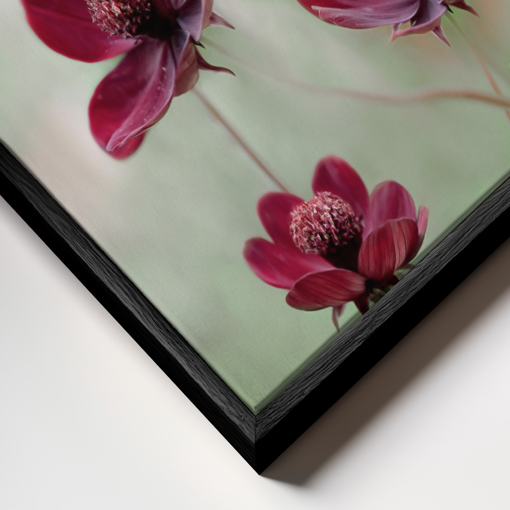 Canvas schilderi - Cosmos sway frame close-up - zwart frame