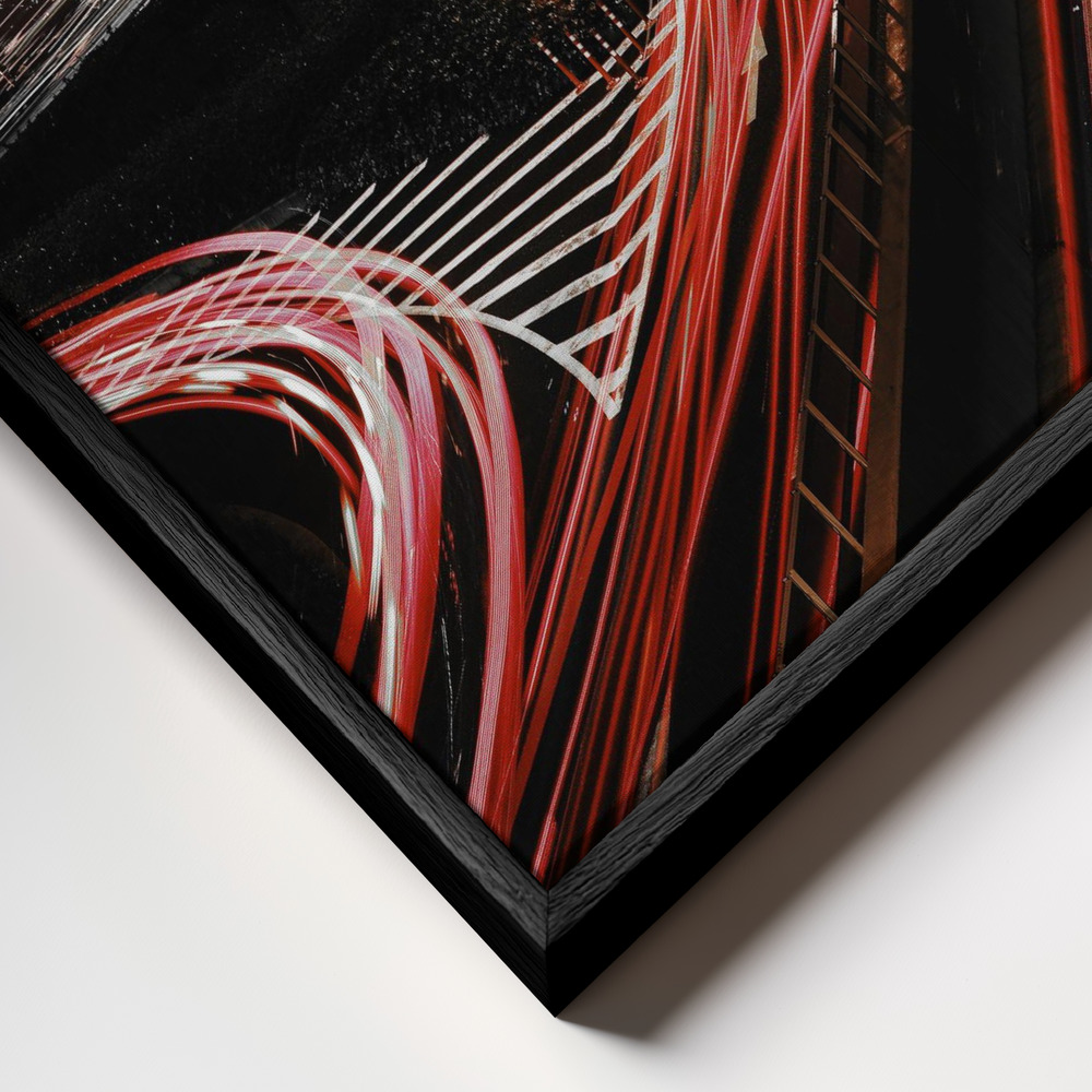Canvas schilderi - Vein frame close-up - zwart frame