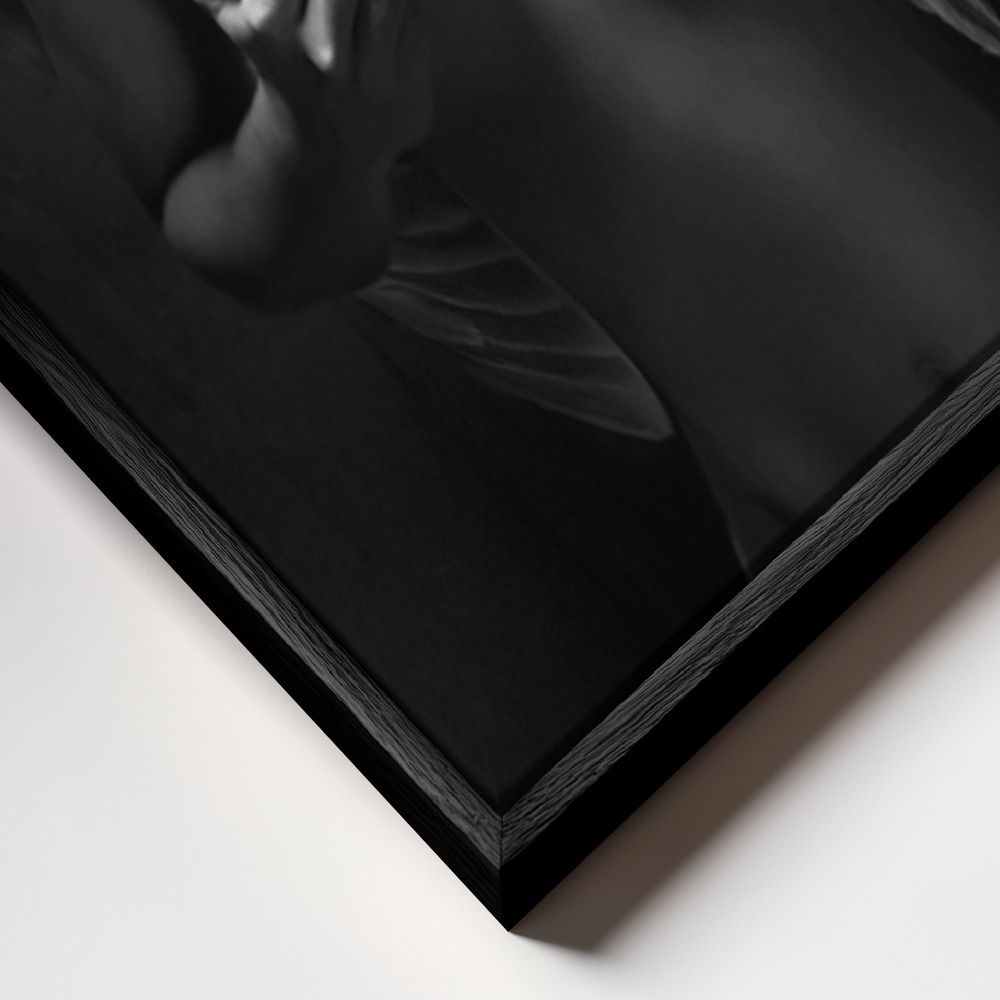 Canvas taulu - Fallen angel kehys lähikuvassa - musta kehys
