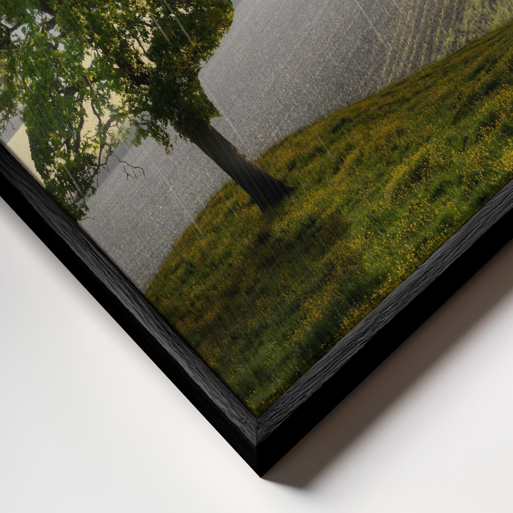 Canvas schilderi - Point of View frame close-up - zwart frame