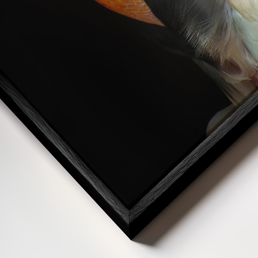 Canvas schilderi - King vulture-Sarcoramphus papa frame close-up - zwart frame