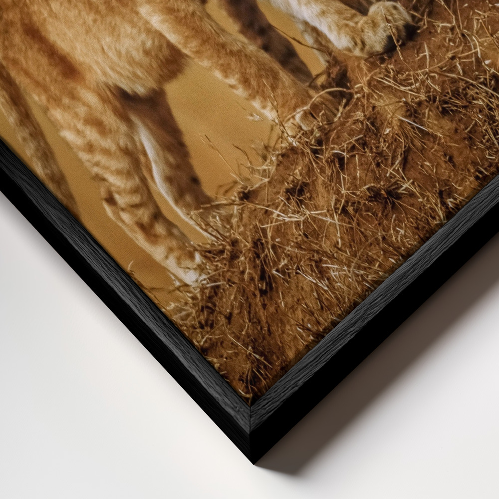Canvas schilderi - Brothers for Life frame close-up - zwart frame