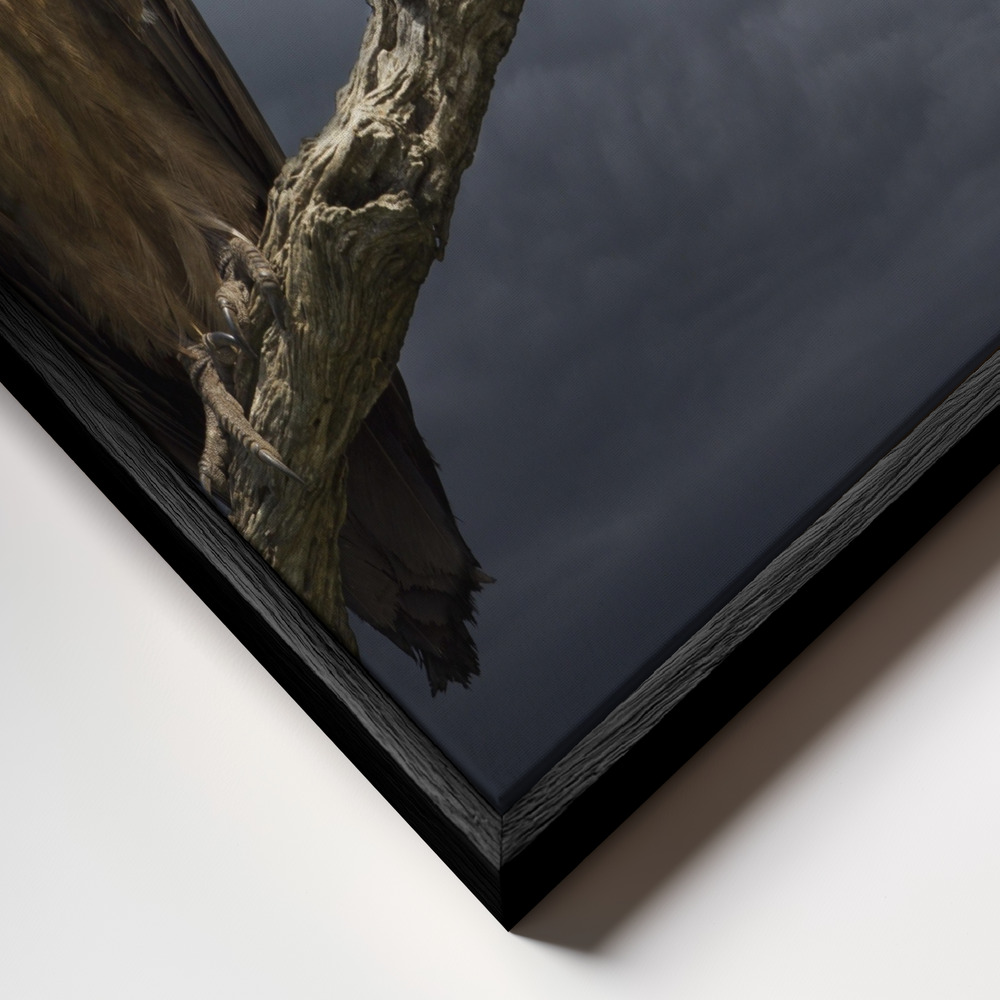 Canvas schilderi - The Vulture frame close-up - zwart frame