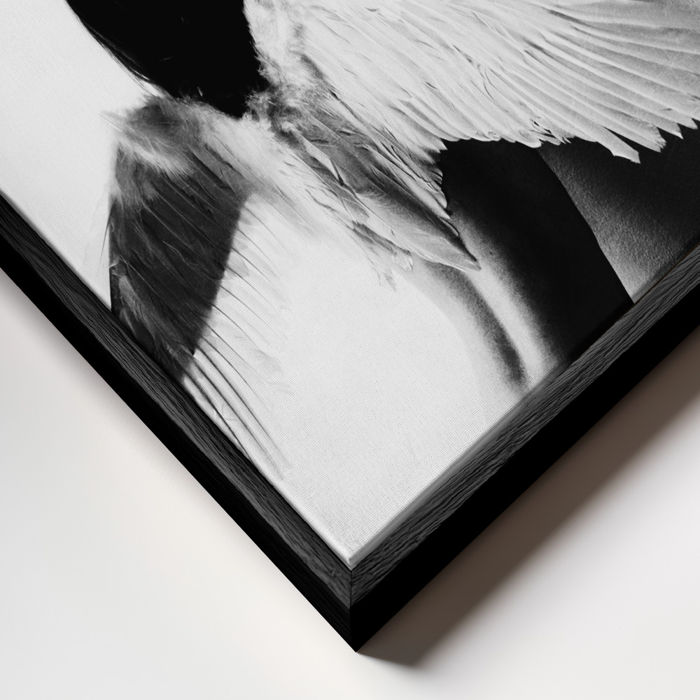 Canvas print - Not fly frame close up - black frame