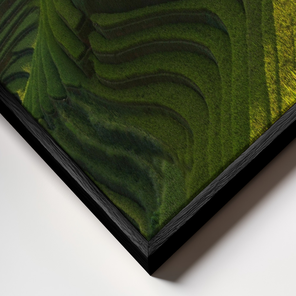 Lærred - Gold rice terrace in mu cang chai,Vietnam. ramme nærbillede - sort ramme